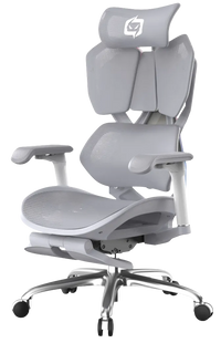 Semi side front left angle of gray Xallking X5F ergonomic gaming chair in Australia with headrest on a clear background