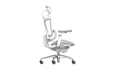 Sihoo A3 DORO-C300 Pro Ergonomic Office Chair - SIHOO AustraliaSihoo A3 DORO-C300 Pro Ergonomic Office Chair