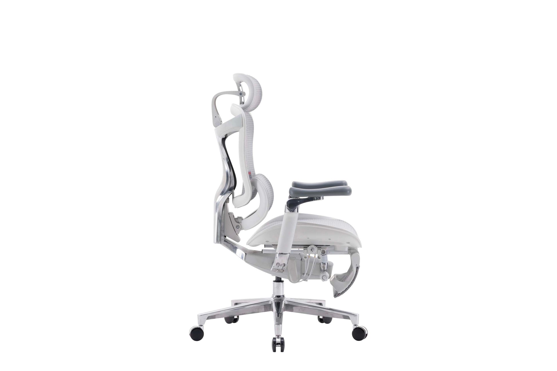 Sihoo DORO - C500 Ergonomic Office Chair - SIHOO AustraliaSihoo DORO - C500 Ergonomic Office Chair